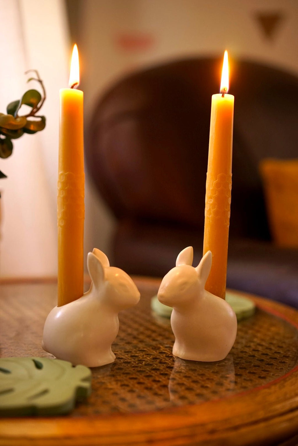 Baby Bunny - Case Peck