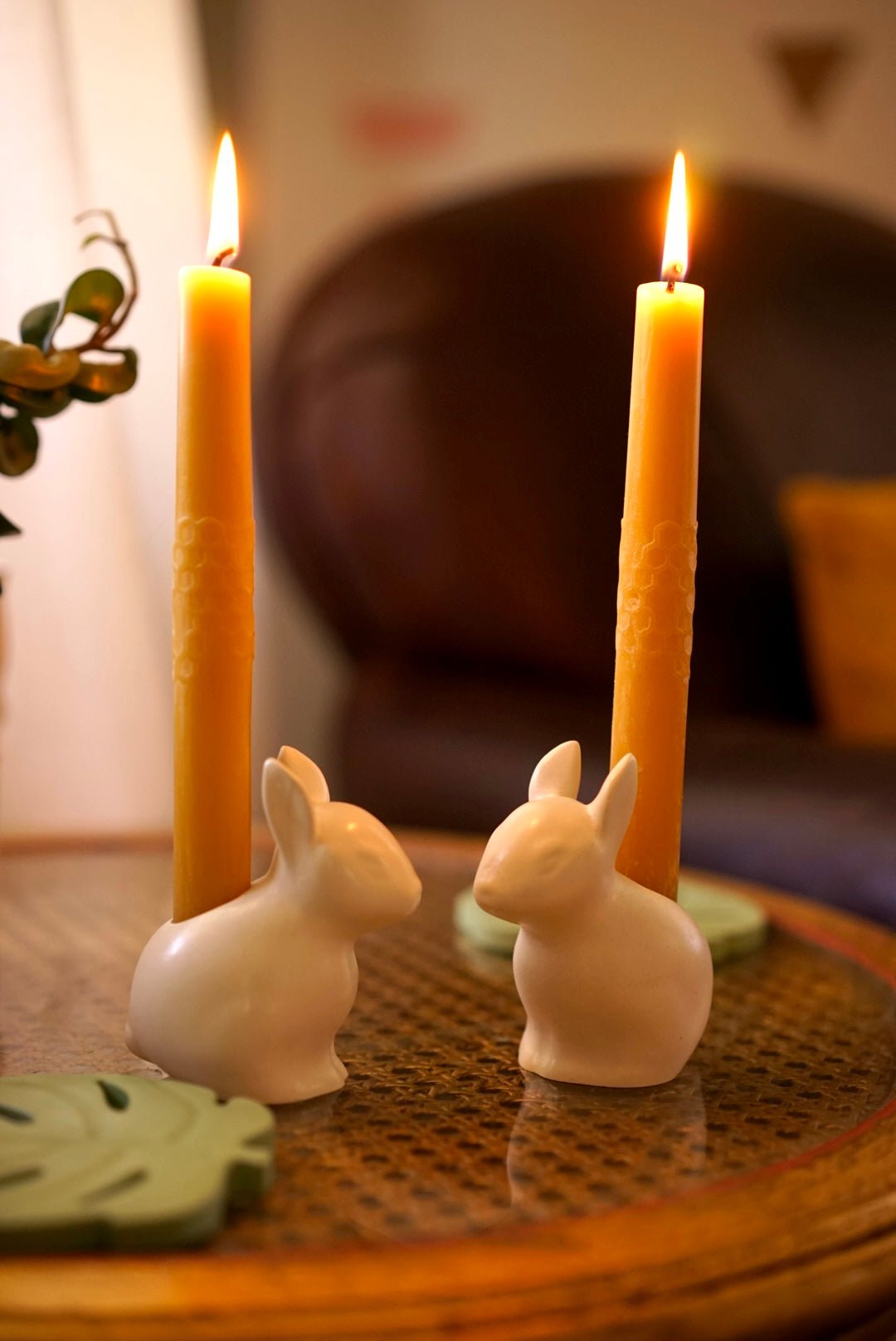 Baby Bunny - Case Peck