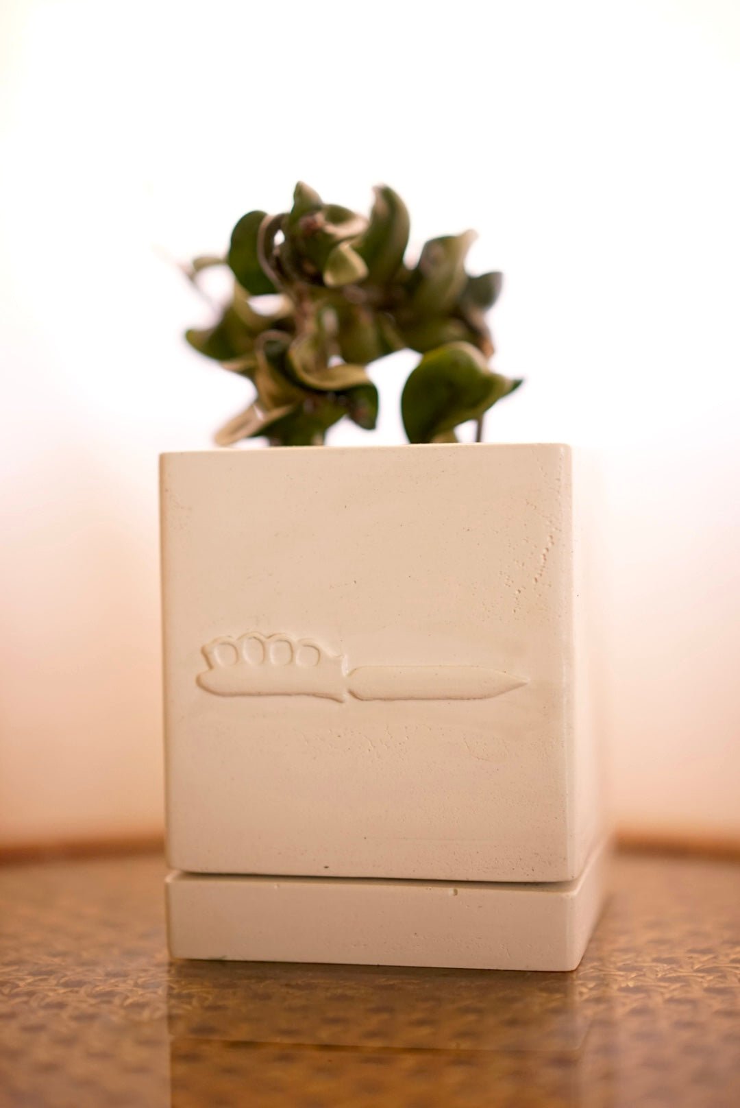 Knife Planter - Case Peck