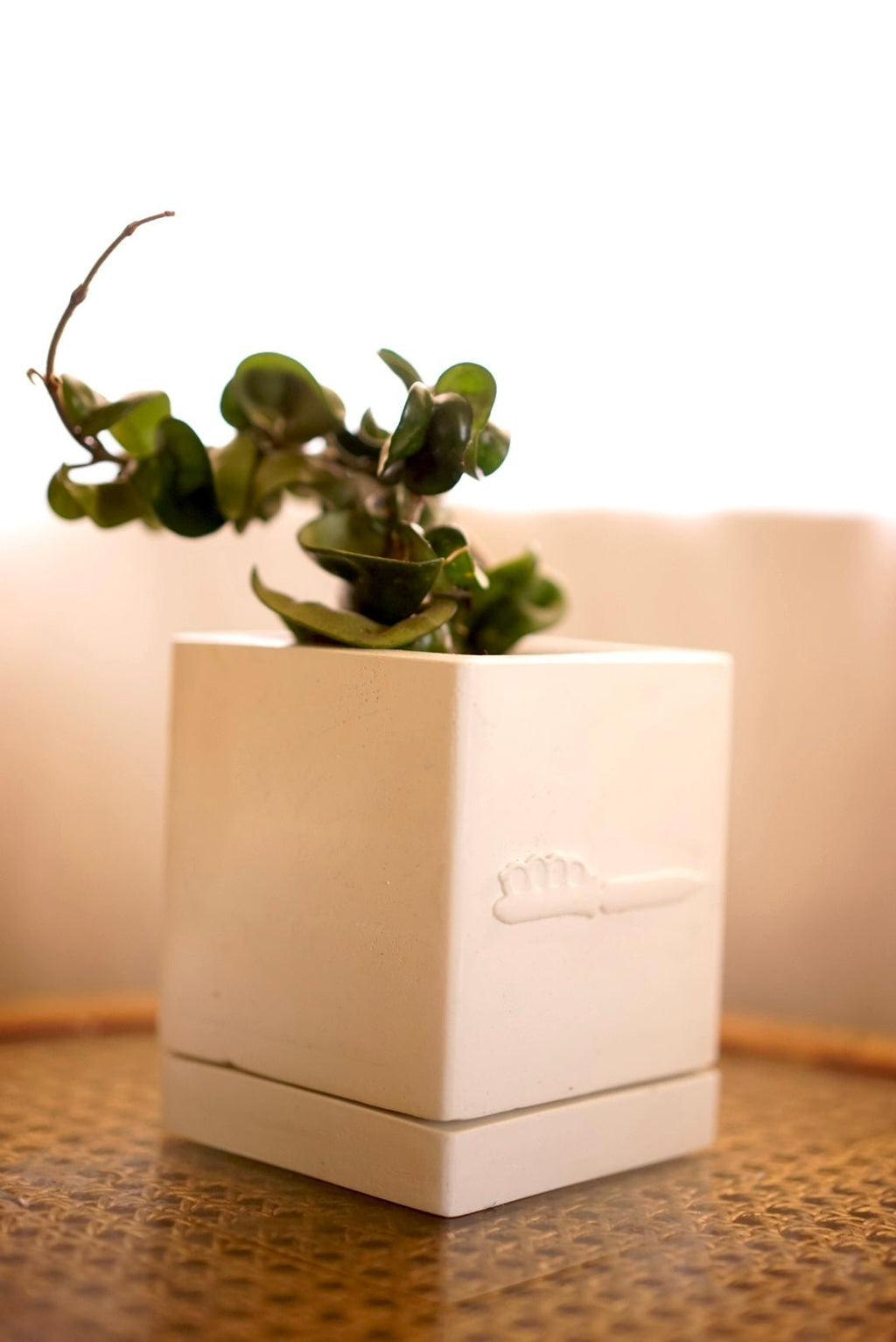 Knife Planter - Case Peck