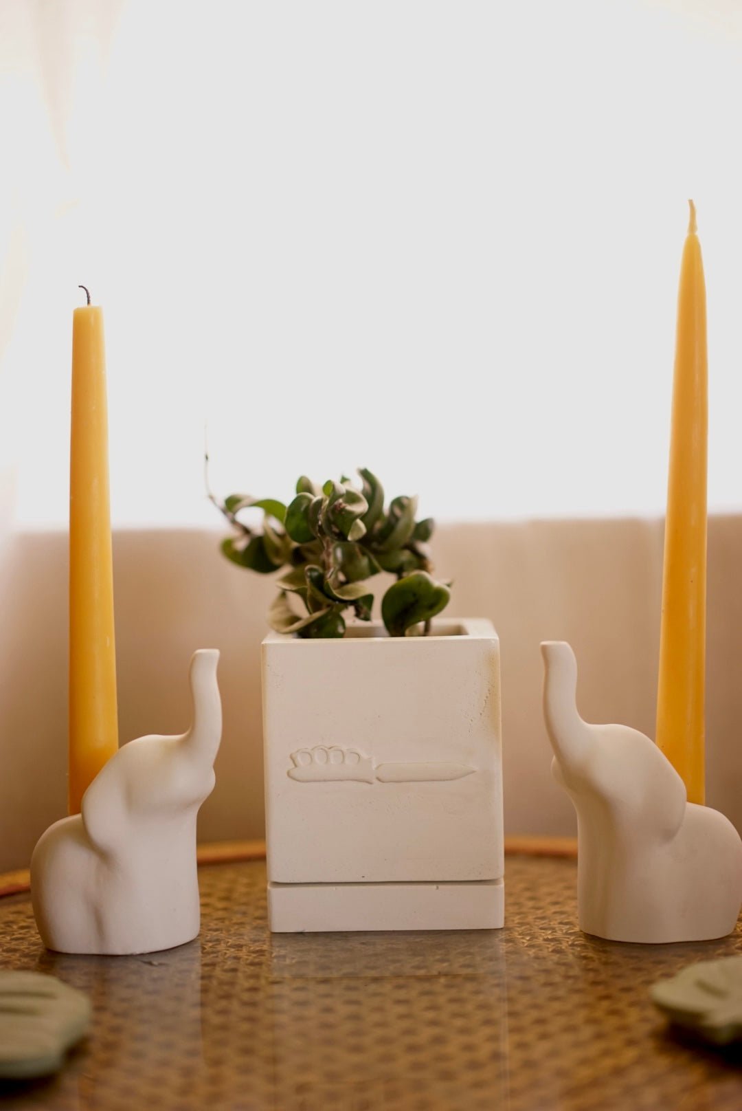 Knife Planter - Case Peck