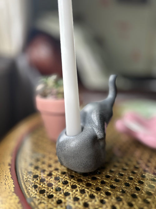 Lucky Elephant - Case Peck
