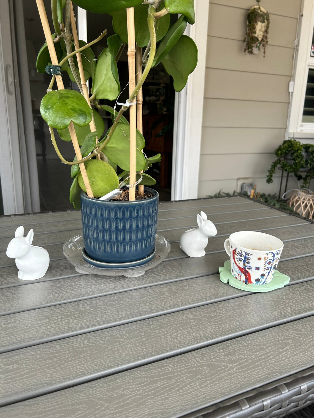 Monstera Leaf Coasters - Case Peck
