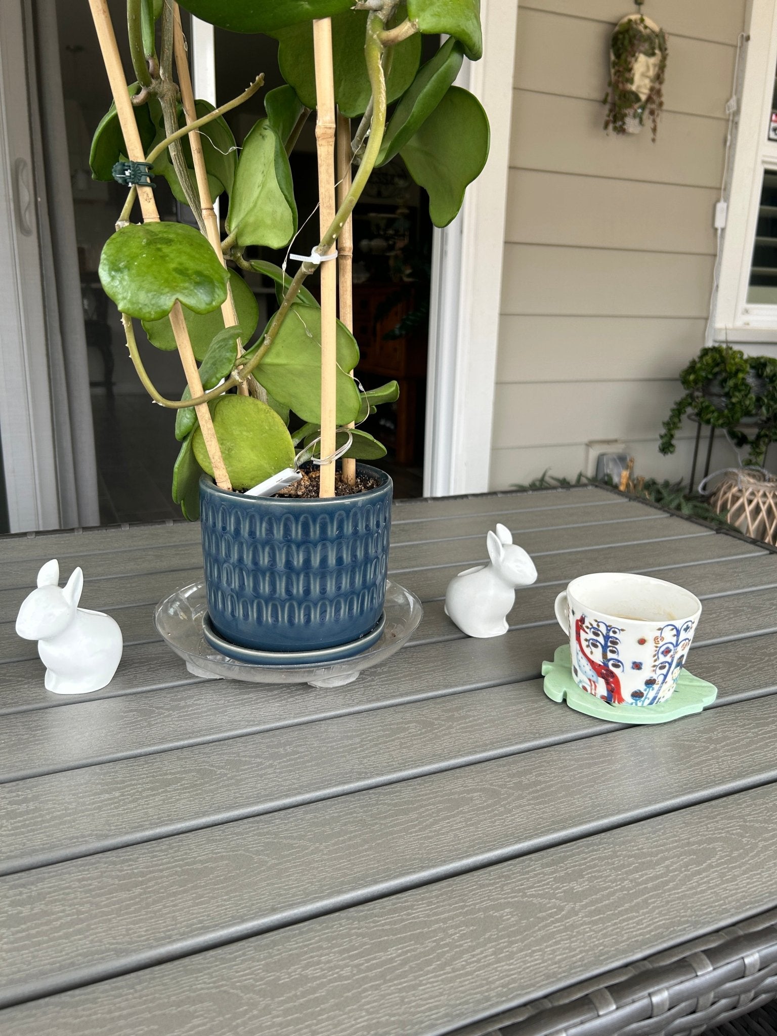 Monstera Leaf Coasters - Case Peck