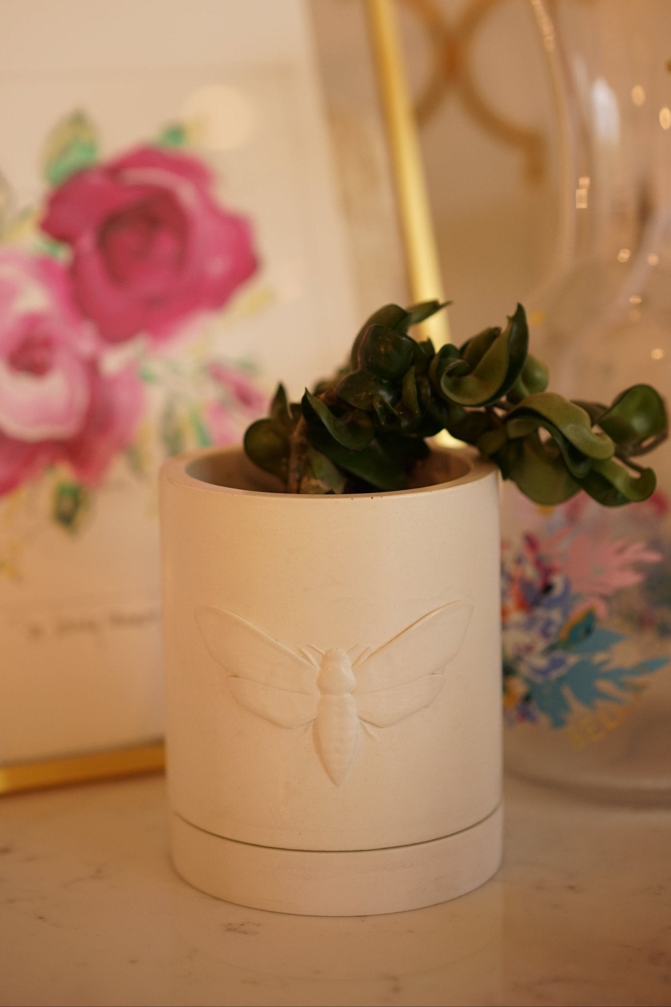Moth Planter - Case Peck