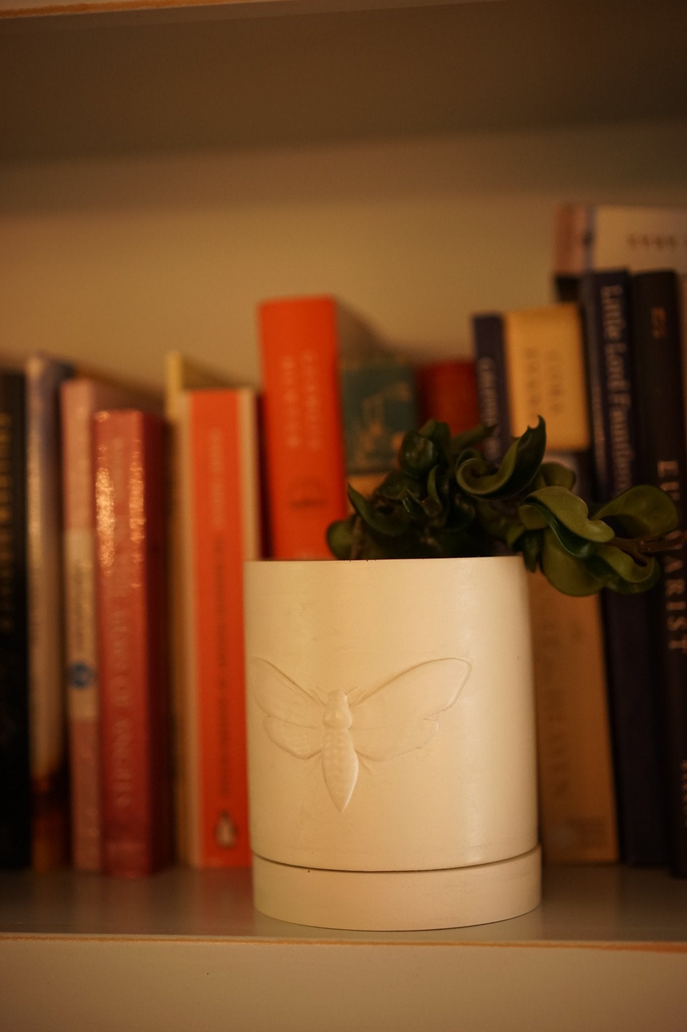 Moth Planter - Case Peck