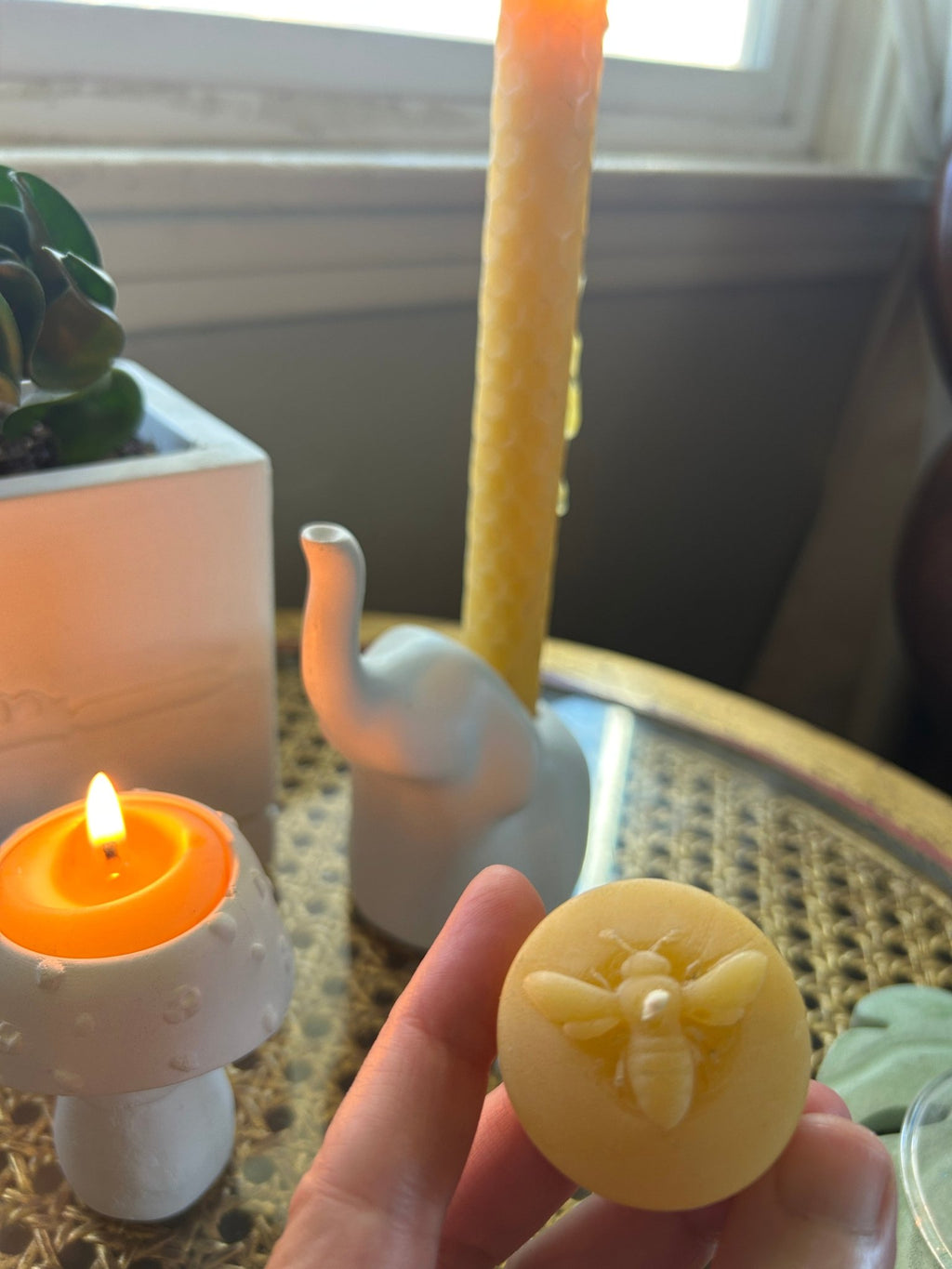 Tealight Bee Candles - Case Peck